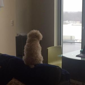 Meet your Posher, Kalin